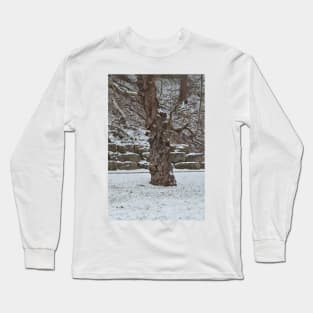 Tree & Snow Long Sleeve T-Shirt